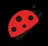 Ladybug icon